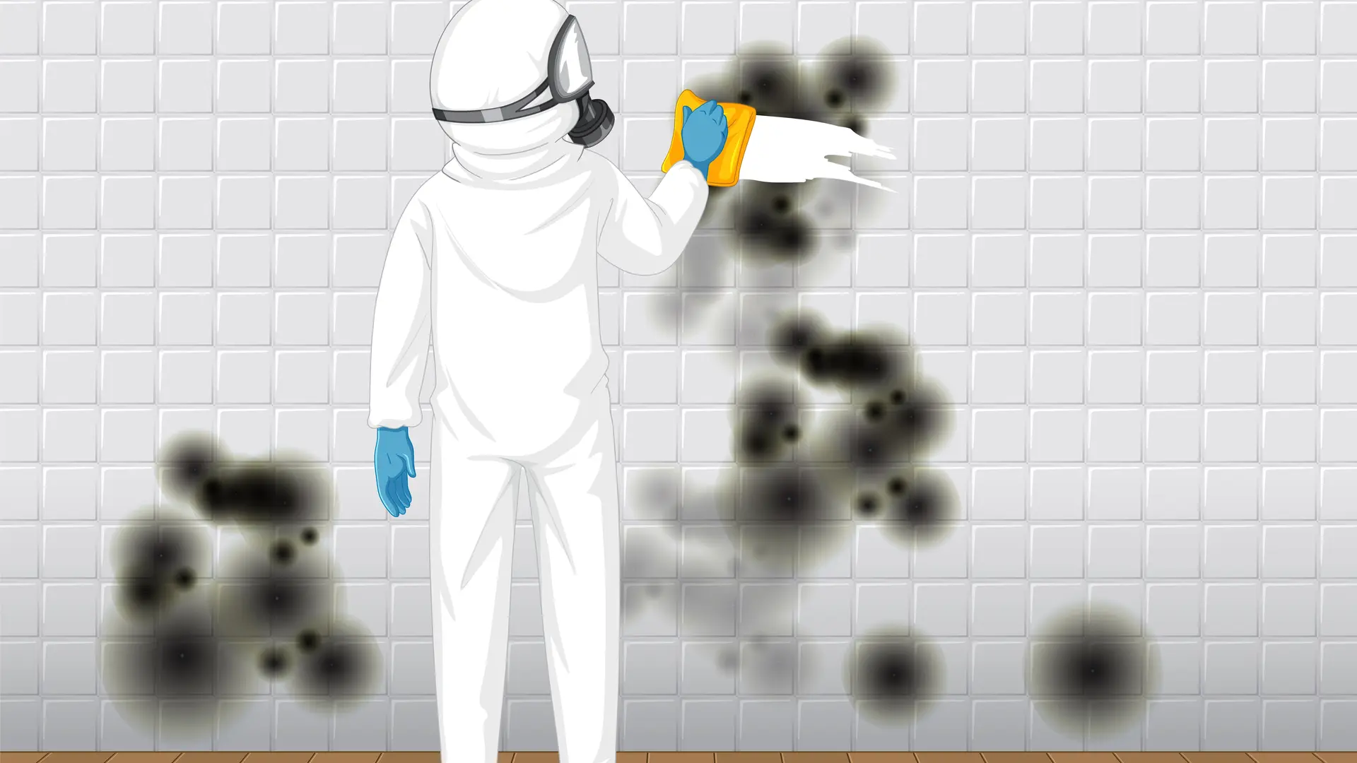 Moisissures sur les Murs de votre Chambre : Tout Savoir en 2024