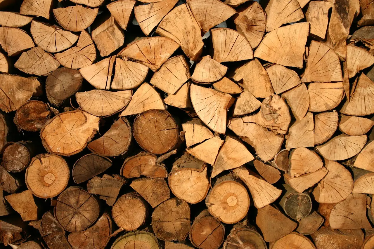 Quel est le meilleur bois de chauffage
