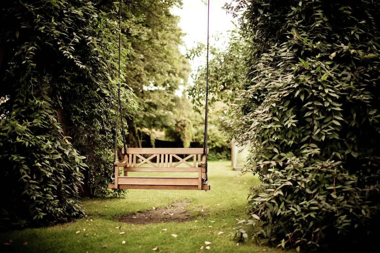 Que faire au jardin en février ?