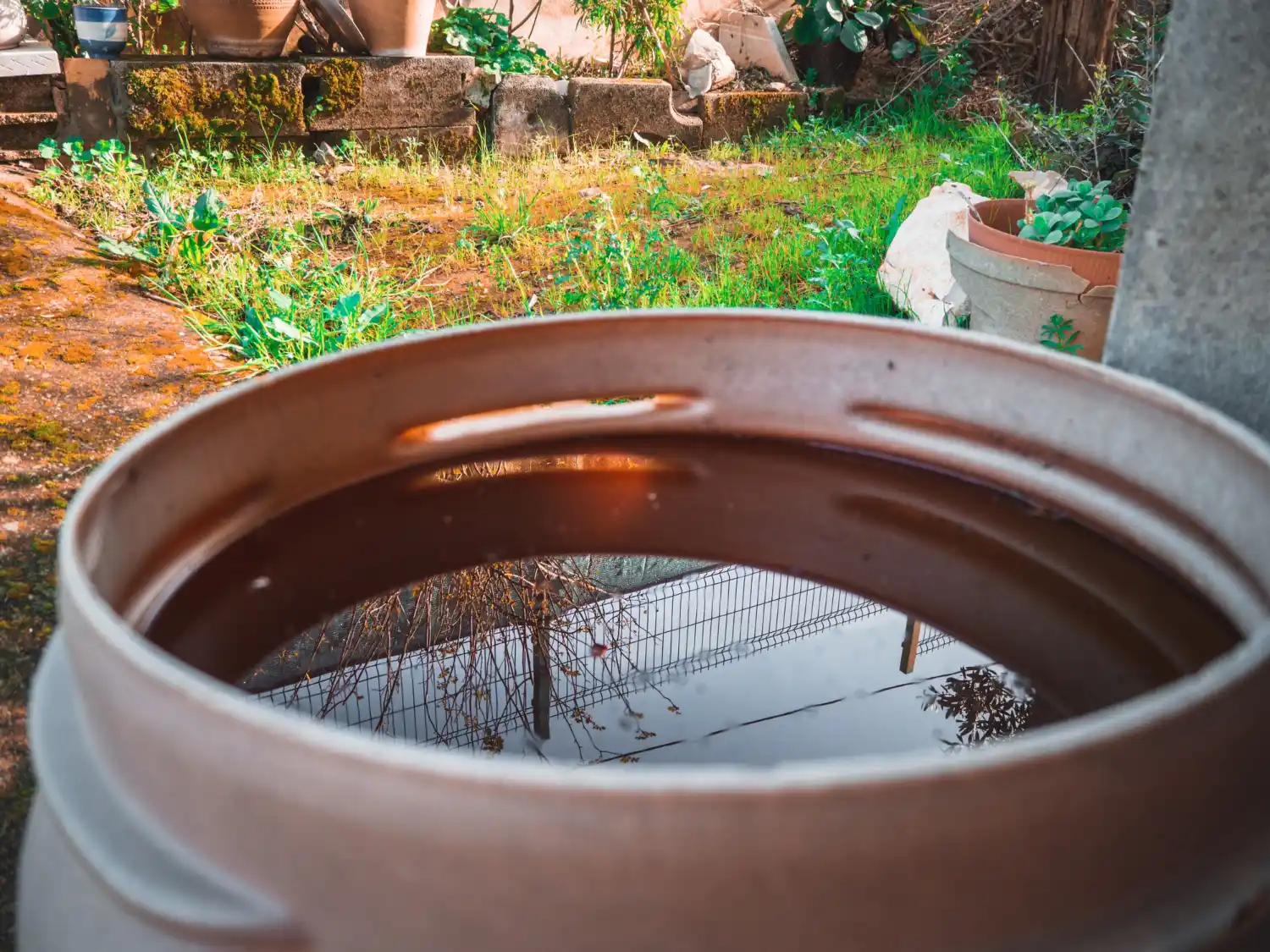 Comment Installer un Récupérateur d'Eau ?