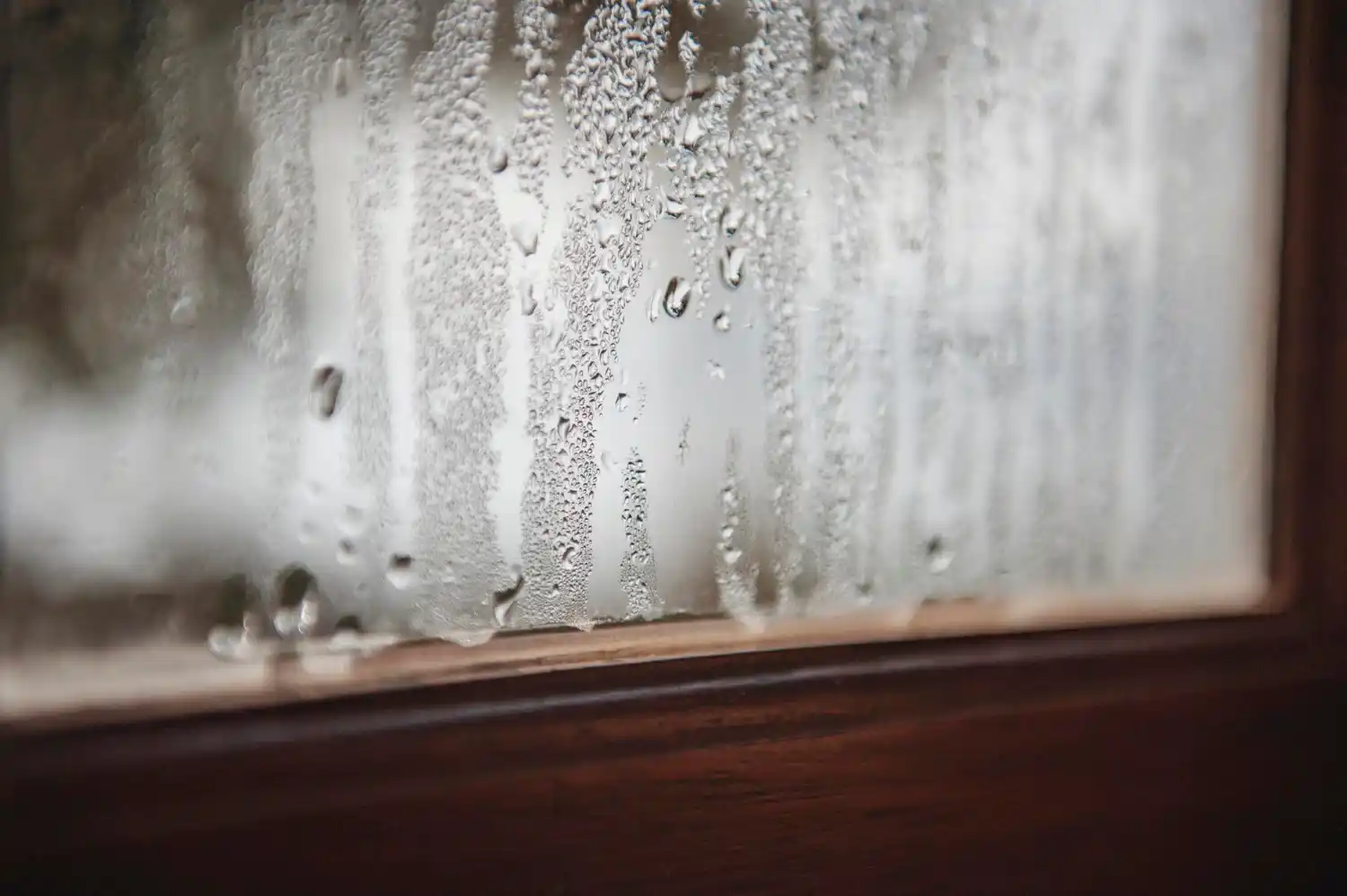 Comment enlever odeur humidité ?
