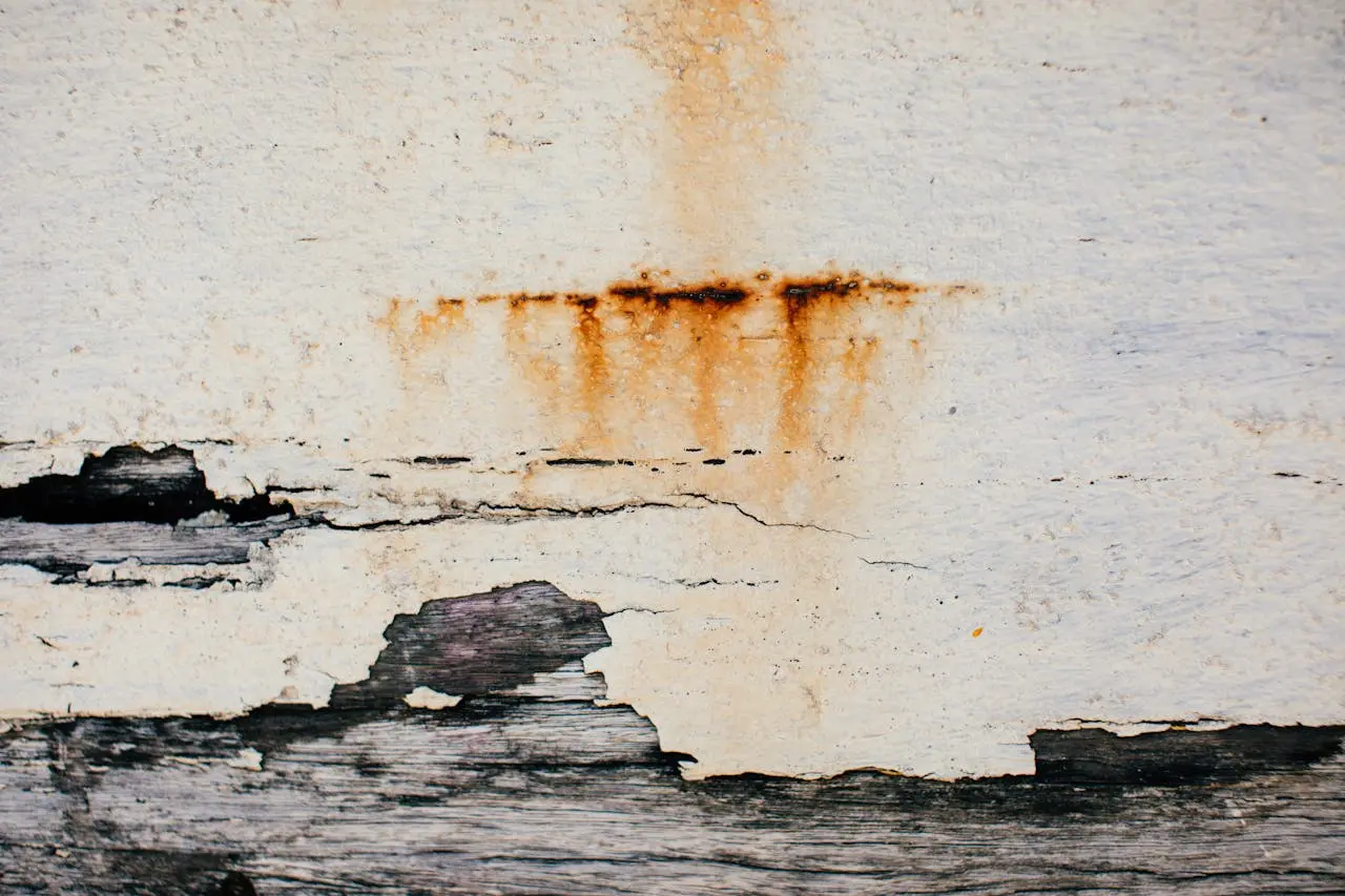Pourquoi le Ciment Se Fissure-t-il en Séchant ?